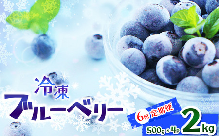 【定期便6回】完熟冷凍ブルーベリー 約 2kg