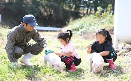 無添加にこだわる ウインナー ベーコンセット 計540g