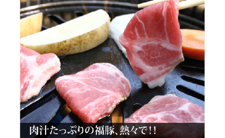 極上霜降り 肩ロースセット 肩ロース切り身 肩ローススライス