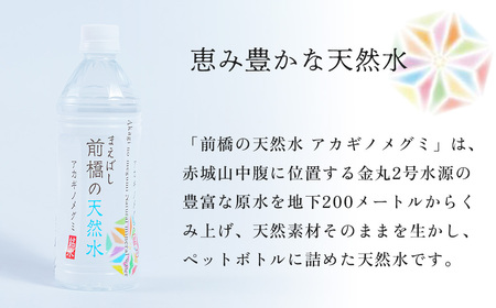 天然水 アカギノメグミ 500ml×２ケース 48本 24L｜ ﾐﾈﾗﾙｳｫｰﾀｰ 防災 備蓄 水 ミネラルウォーター 備蓄 水 ﾐﾈﾗﾙｳｫｰﾀｰ 備蓄 みず 水 軟水 ミネラルウォーター 水 天然水 備蓄 軟水 防災