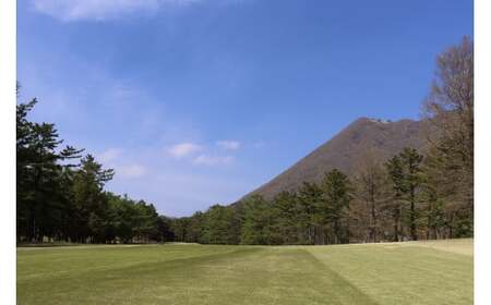 ゴルフ場利用券 赤城国際カントリークラブ 利用券 3,000円分