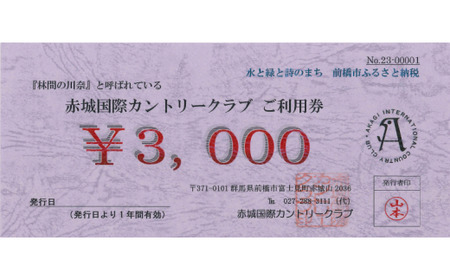 ゴルフ場利用券 赤城国際カントリークラブ 利用券 3,000円分