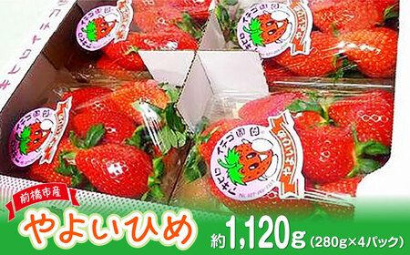 【先行予約】家庭用いちご やよいひめ 約280g×４パック（箱入り）いちご 群馬県 前橋市