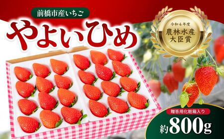 いちご 農林水産大臣賞受賞 いちご やよいひめ 800g
