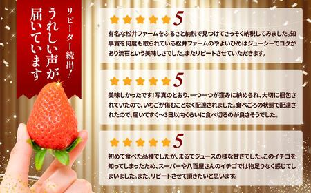 いちご 農林水産大臣賞受賞 いちご やよいひめ 800g