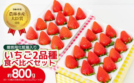 いちご 2品種食べ比べセット 計800g 農林水産大臣賞受賞 いちご