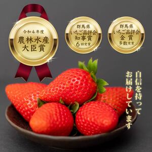 いちご 2品種食べ比べセット 計800g 農林水産大臣賞受賞 いちご