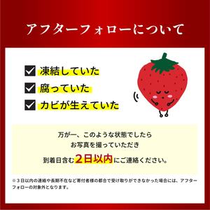 【先行予約】贈答用いちごと無添加ジャム 3個詰め合わせ いちご 群馬県 前橋市