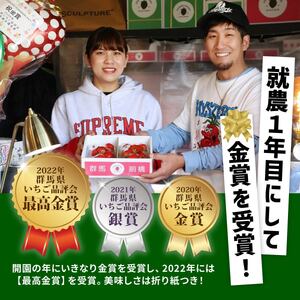 【いちご】 やよいひめ 800g 最高金賞 贈答用いちご