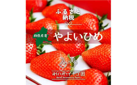 【いちご】 やよいひめ 800g 贈答いちご 人気