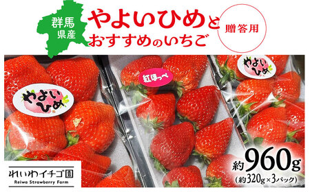 【先行予約】 いちご 「やよいひめ」と「おすすめのいちご」 320ｇ×3トレー 群馬県 前橋市