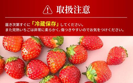 【2026年 先行予約】いちご 4種類食べ比べ 約280g×4パック 計1.1kg