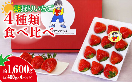 いちご 4種食べ比べ 400g×4パック 計1.6kg