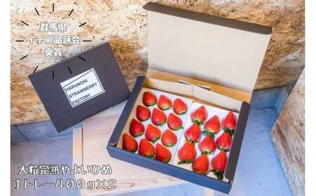 大粒完熟いちご「やよいひめ」400g×2 いちご 群馬県 前橋市