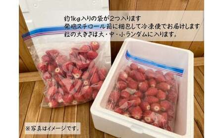 R3-34 苺屋たくみの冷凍いちご｜冷凍いちご いちご ふぞろい いちご 冷凍いちご