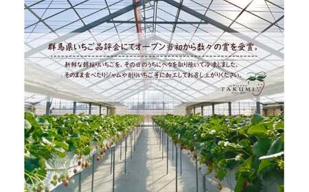 R3-34 苺屋たくみの冷凍いちご｜冷凍いちご いちご ふぞろい いちご 冷凍いちご