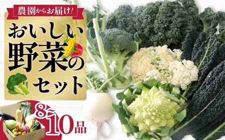西洋野菜 良農園 旬野菜ギフト8～10品
