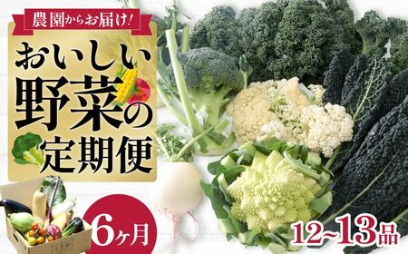 新鮮野菜 良農園おいしい野菜の定期便