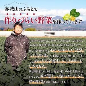 新鮮野菜 良農園おいしい野菜の定期便