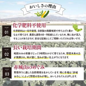 新鮮野菜 良農園おいしい野菜の定期便