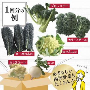 新鮮野菜 良農園おいしい野菜の定期便