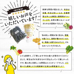 採れたて 良農園 野菜の定期便 朝どれ野菜ソムリエ イタリア野菜 珍しい 西洋野菜