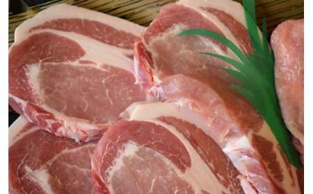 B-32 上州麦豚ロース(薄切り500g・切り身100g×5枚)