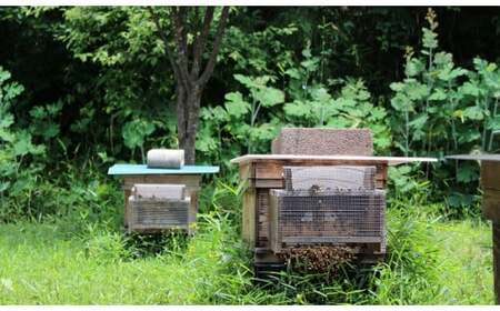 b-72　えみちゃんの純粋はちみつ 500ｇ×2