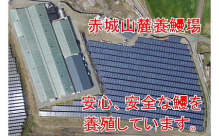 R4-56　上州うなぎ白焼・蒲焼セット　各1尾（1尾150g以上）