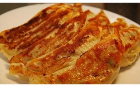 餃子工房RONの点心セット【麗】餃子 シュウマイ 10種類セット