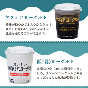 濃厚ヨーグルト 食べ比べ 400g×6個 ヨーグルトセット