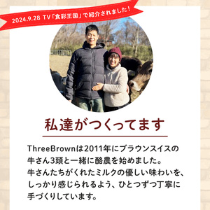 ジェラート 幻の牛の生乳から作る 無添加ジェラート 12個 群馬県 前橋市