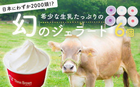 アイス 幻の牛の生乳から作る 無添加ジェラート 6個｜アイス アイスクリーム ジェラート アイス アイス  ｼﾞｪﾗｰﾄ ジェラート なめらか ジェラート アイス