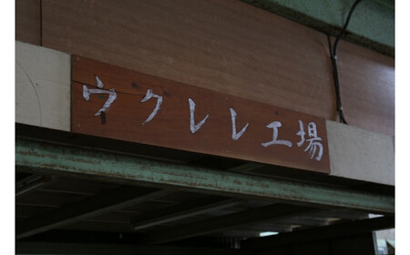 ゼファー ウクレレ ソプラノ GL-2S|ウクレレ 群馬県 前橋市