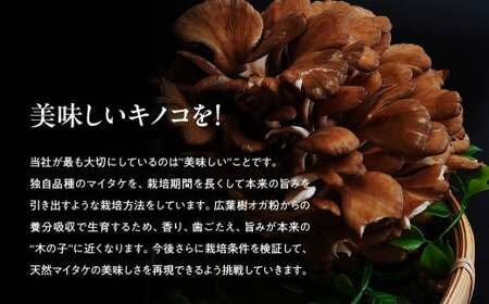 【12ヶ月定期便】長五郎 まいたけ ほぐし 300g×2 計7.2kg | まいたけ まいたけ まいたけ まいたけ まいたけ