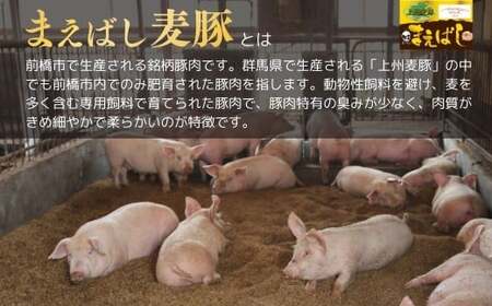 まえばし麦豚 バラエティーセット 計2.4kg 麦豚