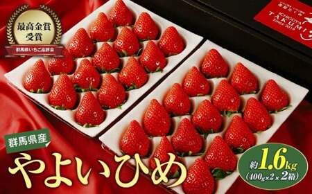 【先行予約】 いちご やよいひめ400g×2 2箱 計1,600g いちご 群馬県 前橋市