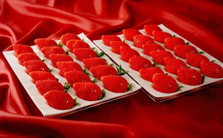 定期便5回分 やよいひめ（いちご）約800g いちご 群馬県 前橋市