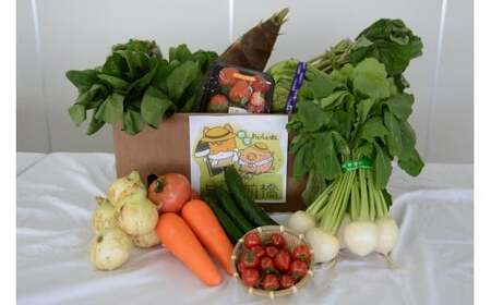 野菜【6カ月定期便】赤城南麓で育った季節の野菜