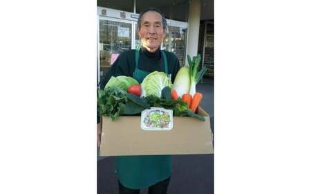 野菜【6カ月定期便】赤城南麓で育った季節の野菜