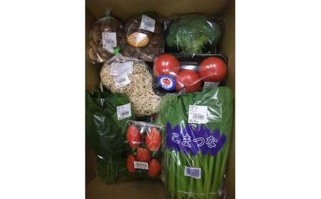 野菜【6カ月定期便】赤城南麓で育った季節の野菜