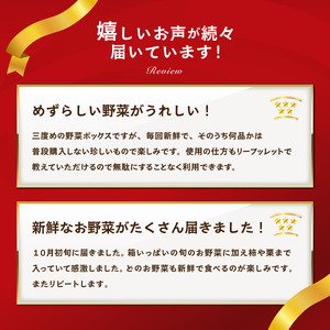 野菜【6カ月定期便】赤城南麓で育った季節の野菜