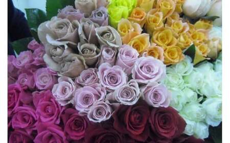 バラ お任せ20本 | バラ ばら バラ バラ ばら