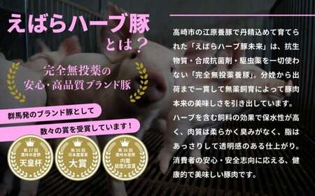 国産 無添加 かかぁのぎょうざ 120個セット (30個×4) 餃子 えばらハーブ豚