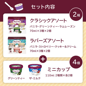 マルチパックセット／ハーゲンダッツ