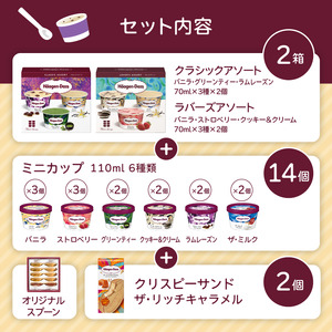 バラエティセット／ハーゲンダッツ