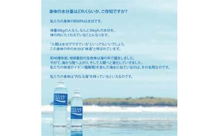 大塚製薬　『ポカリスエット』　500ml×24本