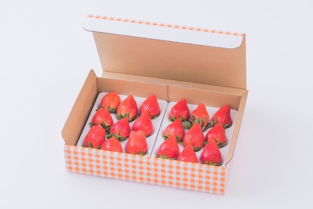 金井いちご園のいちご（やよいひめ）　1箱（大粒いちご約400g×2パック）