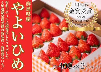 金井いちご園のいちご(やよいひめ) 3箱(大粒いちご約400g×2パック/1箱)