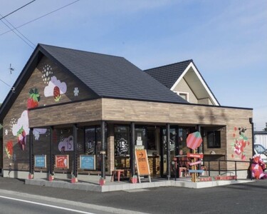 金井いちご園のいちご（やよいひめ）　５箱（大粒いちご約400g×2パック／1箱）